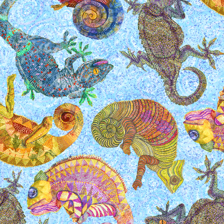 COLORFUL CHAMELEONS      